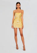 Nolia Sequin Embellished Dress